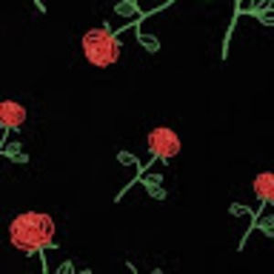 Meet your Posher, Maricela